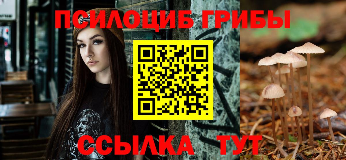 Галлюциногенные грибы Cubensis  Вход с VPN  где можно купить   Усть-Илимск 