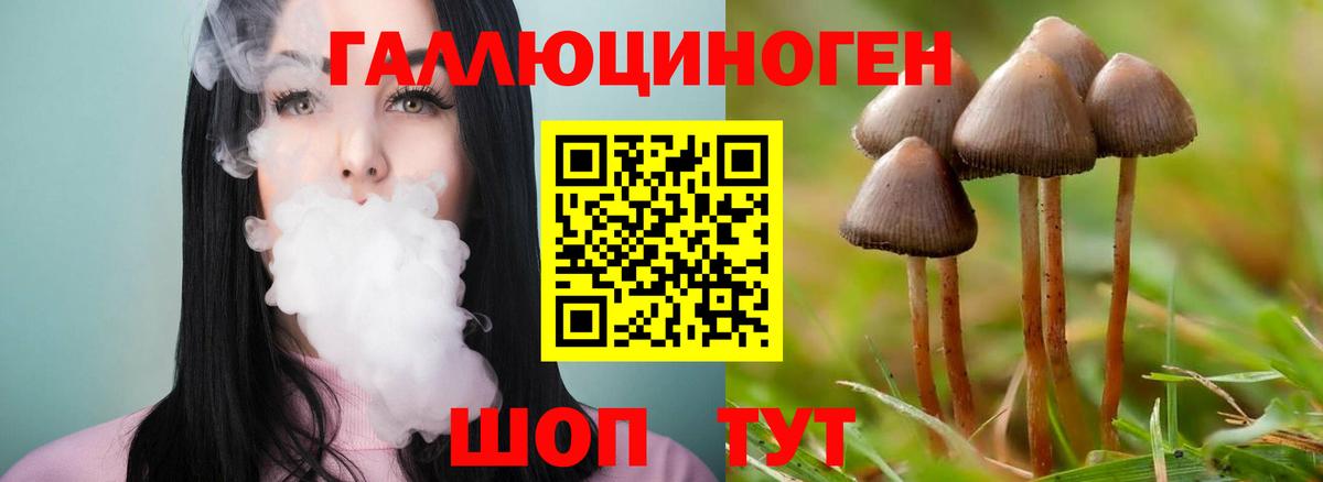 Псилоцибиновые грибы Magic Shrooms Усть-Илимск